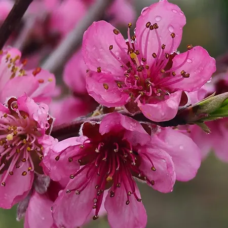 Casa Vista Da Serra - *