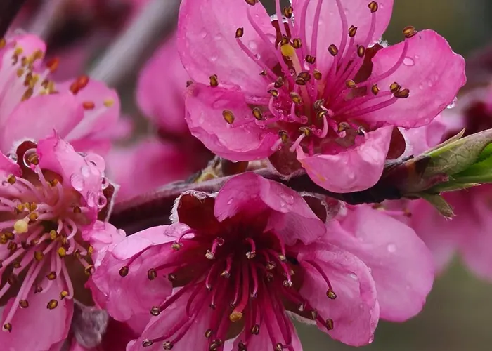 Casa Vista Da Serra - *